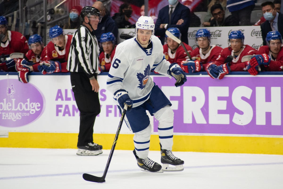 Toronto Maple Leafs center Alex Steeves (46) during warm up before