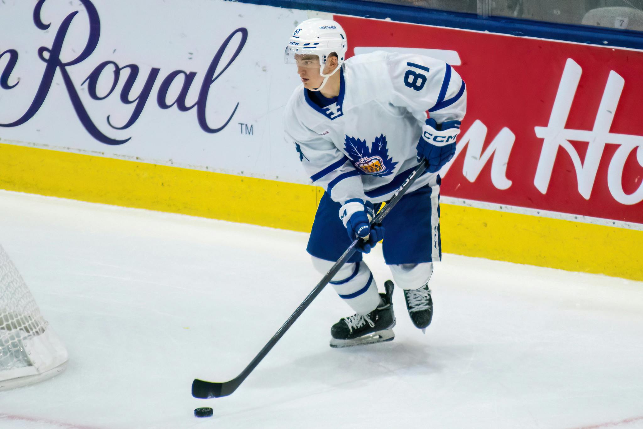 Jake Muzzin Jerseys  Jake Muzzin Toronto Maple Leafs Jerseys & Gear -  Leafs Store
