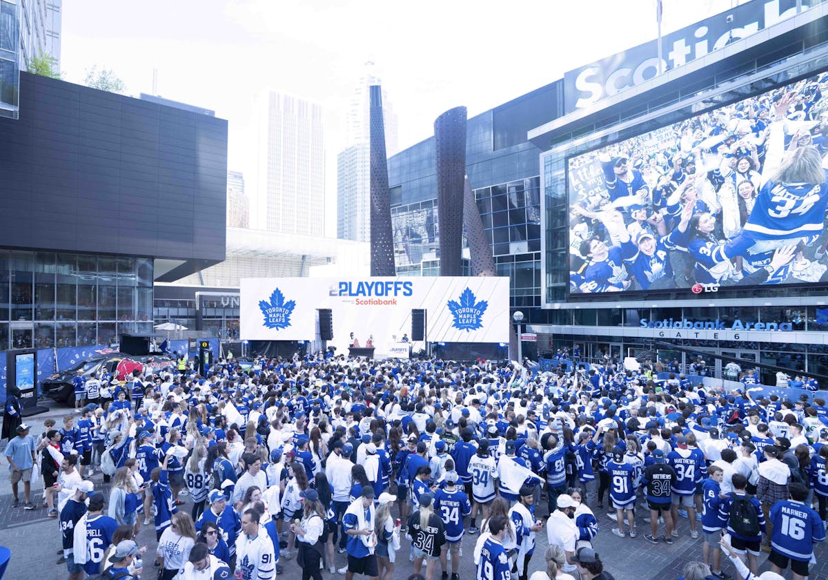 Maple Leafs fans voted NHL's 'most annoying', 'most delusional
