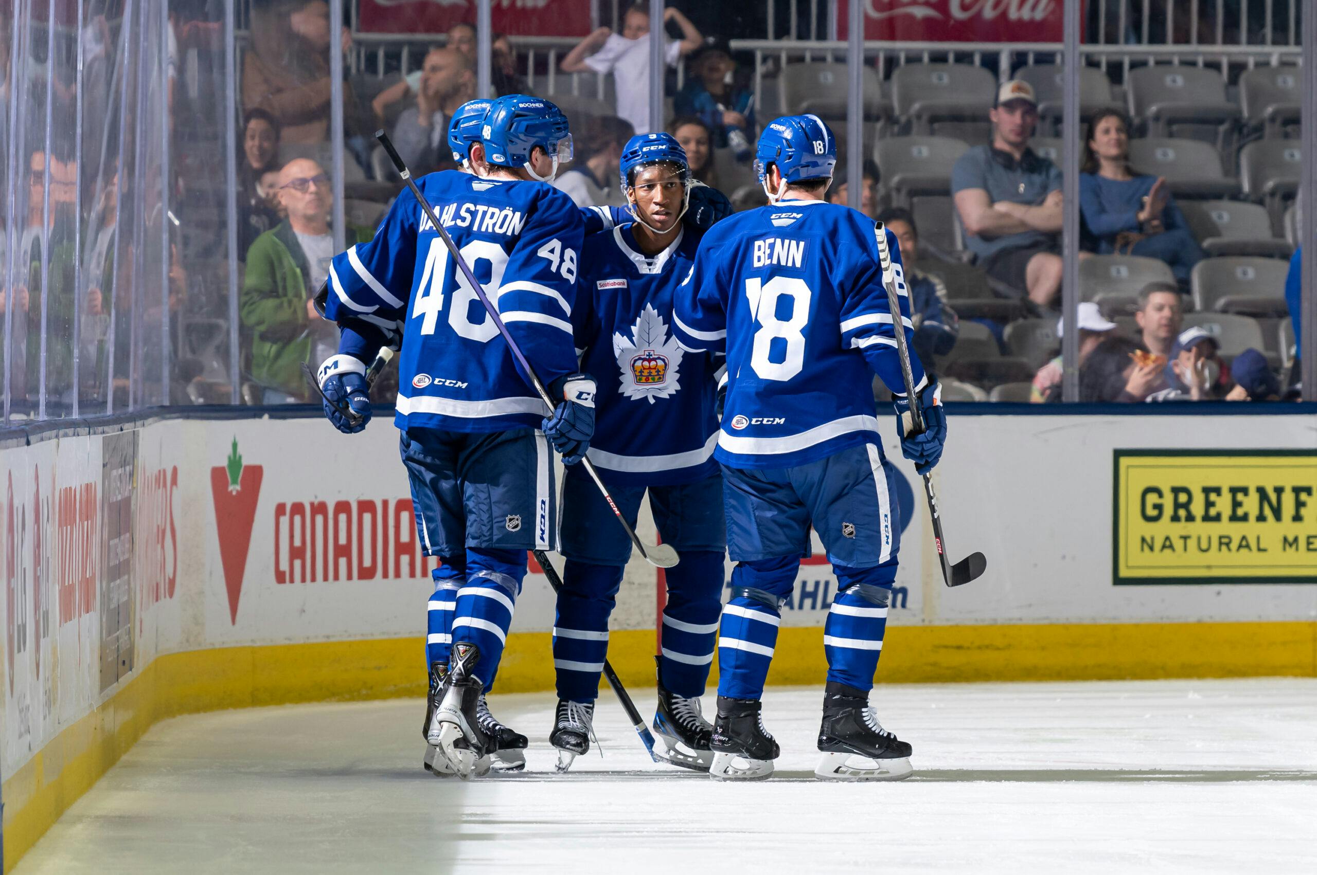 Toronto Maple Leafs: What Would a Marlies Calder Cup Mean to Leafs