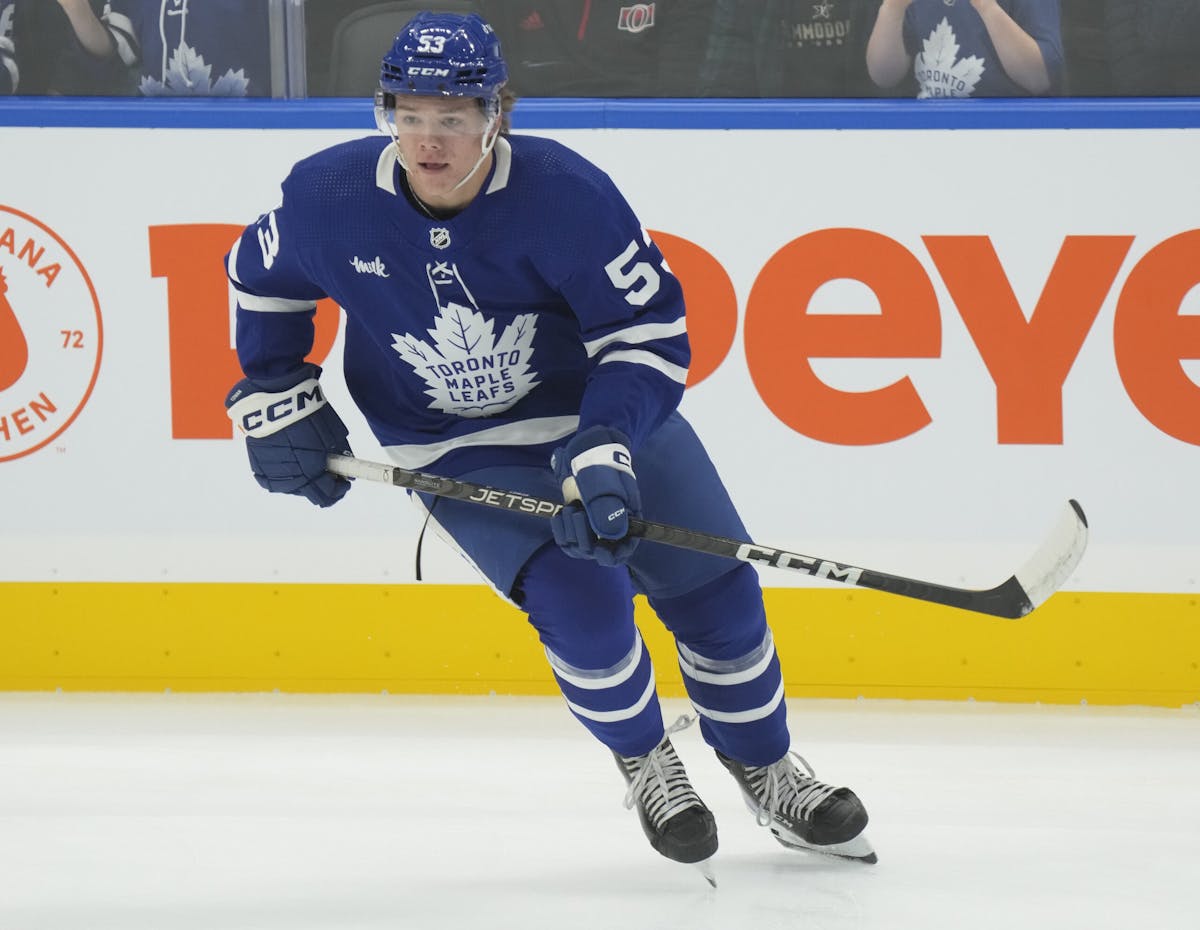 The next wave of future Maple Leafs is beginning to take shape