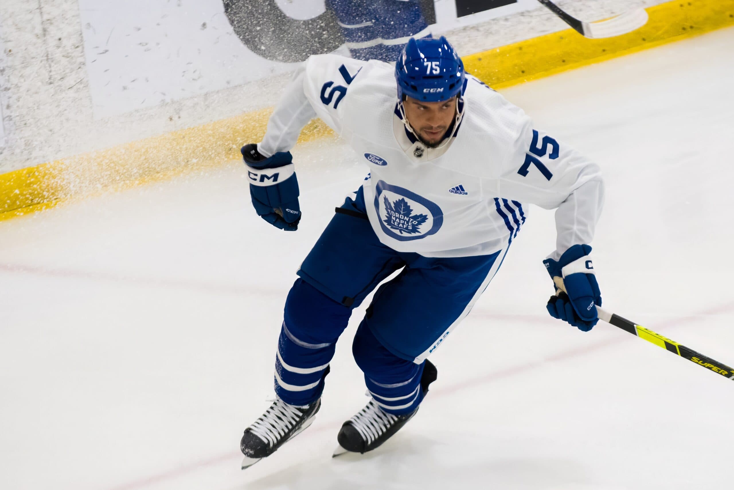 Where do the Maple Leafs go from here with Ryan Reaves? - The Athletic